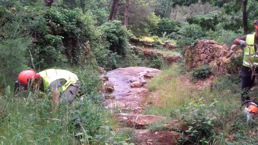 Operarios de Augas de Galicia limpando a contorna fluvial do río Rosa, no Ézaro, en Dumbría. Foto: Xunta