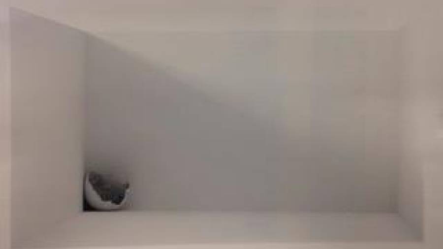 MANUEL LAREO. Obra sin título con la que el coruñés Manuel Lareo ganó el premio Galicia-Pedras de Santiago, dotado con dos mil euros. Fotos: M.G.