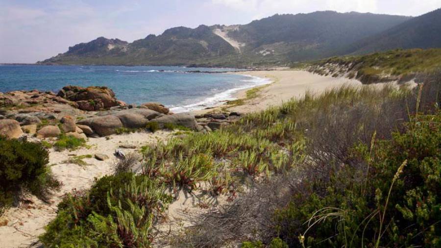 Os crebeiros xuntaranse o domingo para limpar a praia de Trece. Foto: Turismo de Galicia