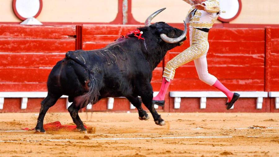 Más de 200.000 firmas contra la vuelta de las corridas de toros a Pontevedra por el aumento de casos COVID