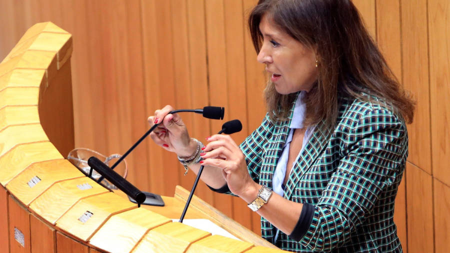 Mato formaliza también su baja como diputada del PP en la Cámara gallega