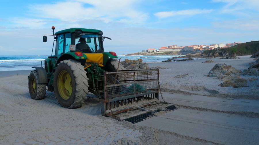 Traballos de limpeza da praia de Caión. Foto: Concello da Laracha