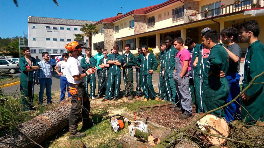 Formación específica sobre a madeira na que os alumnos de Ciclo contan coa colaboración de empresas do sector. Foto: EFA Fonteboa.