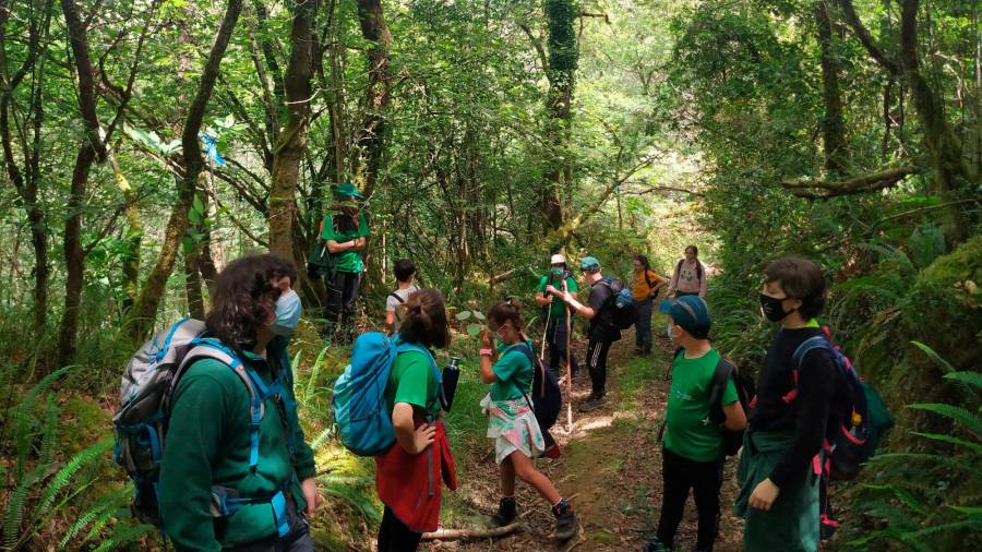 Nenos e nenas da Escola Ambiental desfrutando do Bosque da Ribeira da Pena. Foto: Senda Nova