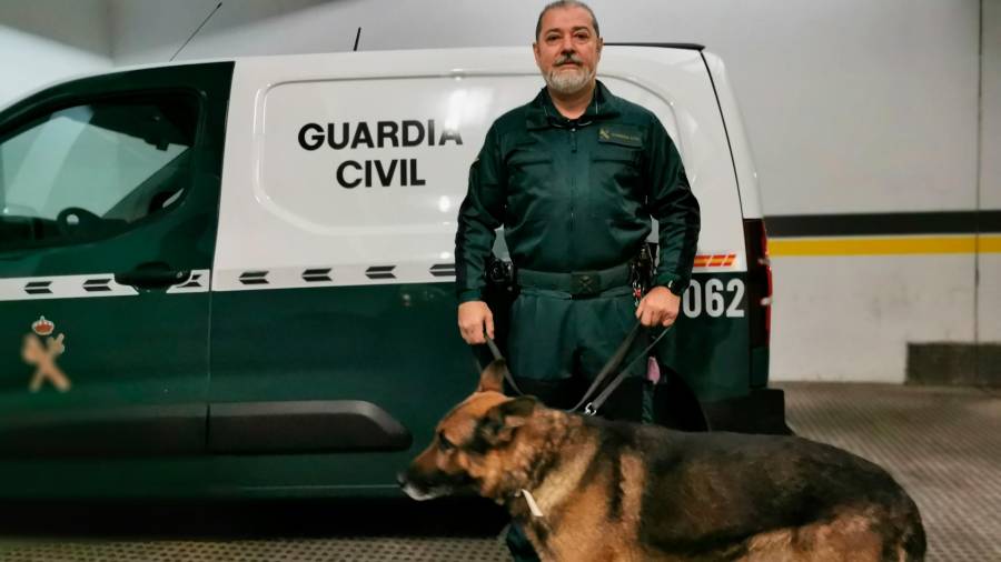 El agente Dionisio Ribadas con su perro ‘Maxi’, de la unidad de narcóticos de la Guardia Civil, realizaron numerosas misiones en el aeropuerto de Lavacolla