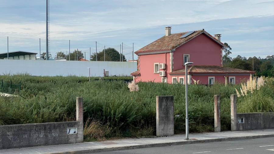Parcela particular en Lestón sen xestionar a biomasa. Foto: Concello da Laracha