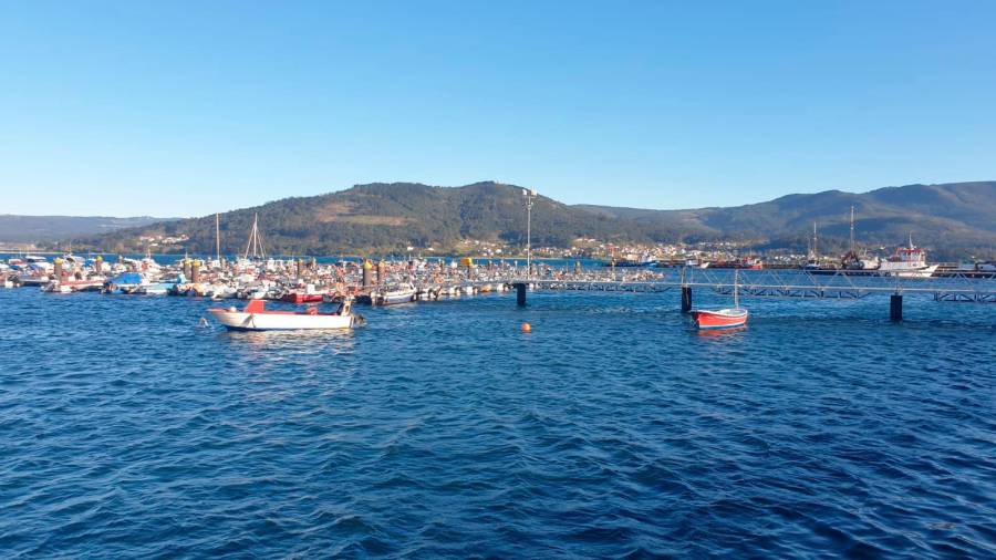No porto de O Freixo concéntrase unha parte importante da frota marisqueira da ría de Muros-Noia. Foto: ECG