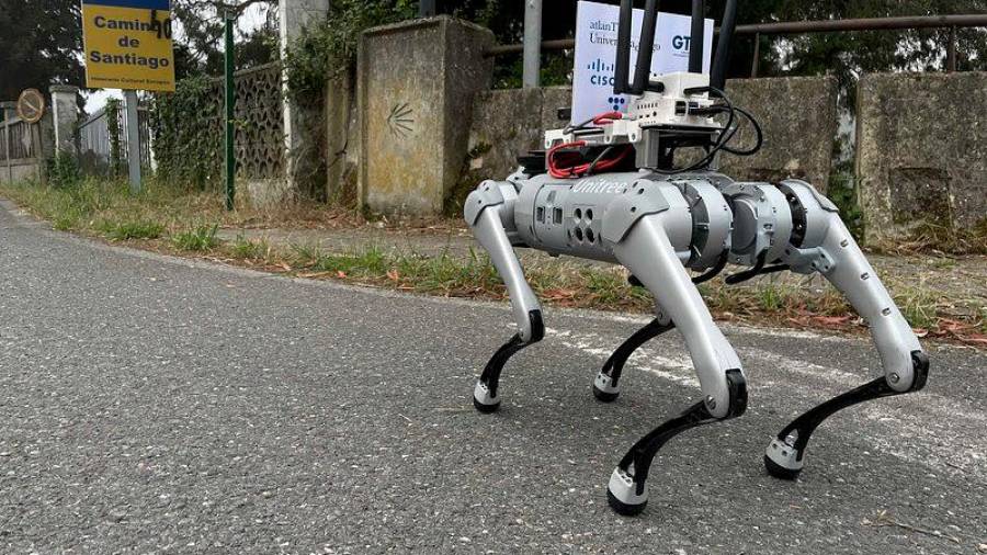 el robot ‘santi’, que lleva incorporada una cámara de visión de 360º, caminando hacia Compostela. Foto: E. C