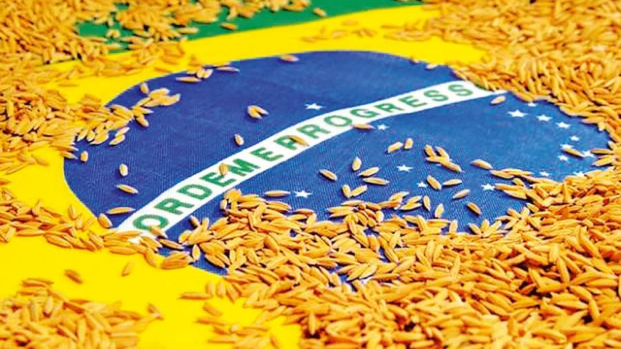 brasil. Manojo de cereales extendidos sobre la bandera del país americano. Foto: Commons