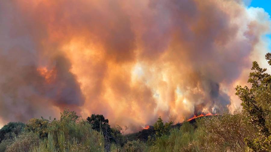 Imagen del incendio de Monterrei que ya ha calcinado 450 hectáreas. Foto: EFE.