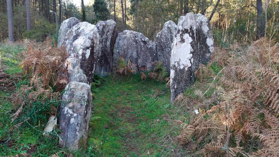 El dolmen de A Cova da Moura, declarado BIC, se encuentra rodeado de maleza. Foto: PSOE