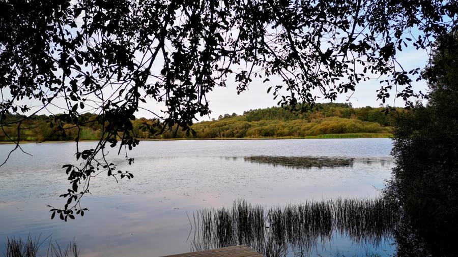Lagoa de Sobrado, represa que embalsa auga de pequenos regatos. Foto: ECG