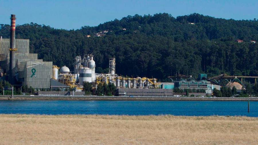 Vista de las instalaciones de Ence en Pontevedra
