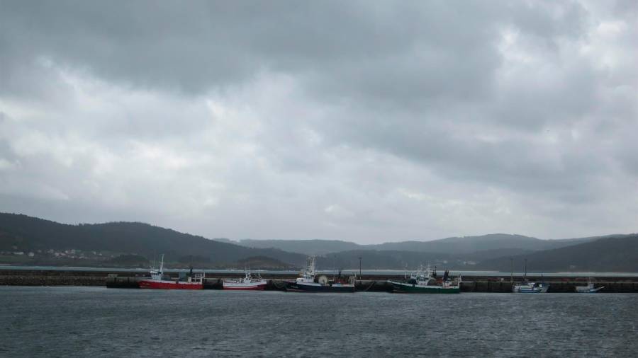 Flota, barcos amarrados en el puerto. Foto: E.P.