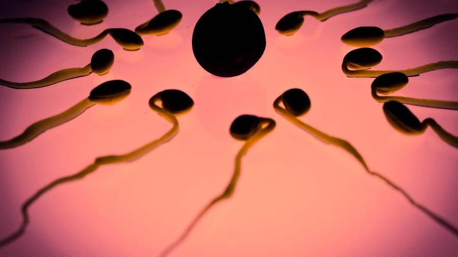 La Covid-19 puede afectar negativamente a la fertilidad, especialmente a los hombres