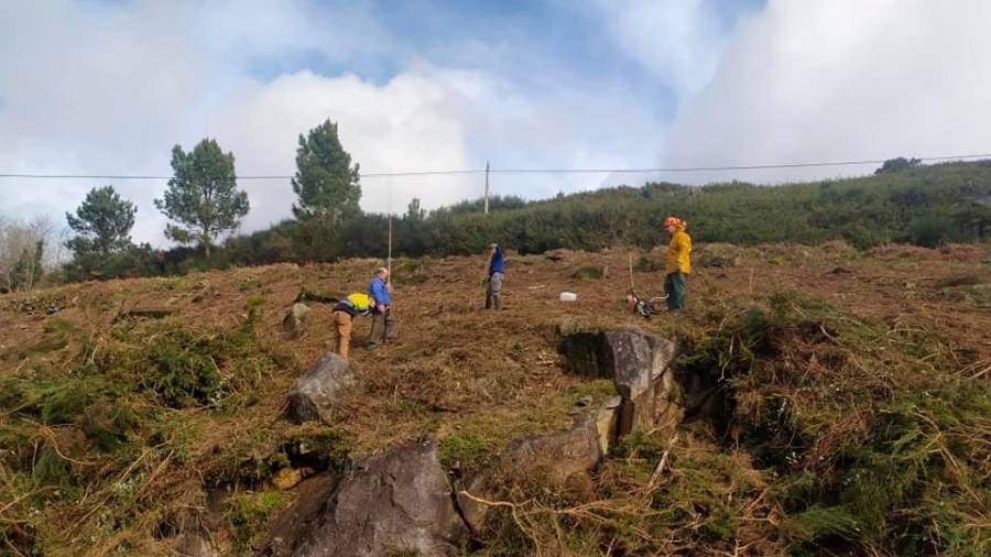 Miembros de la comunidad de montes de Baroña realizan trabajos de desbroce. Foto: C. M. B. 
