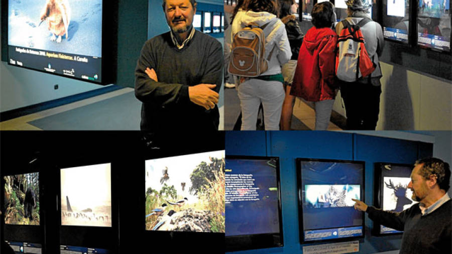'Wildlife', en el Acuarium Finisterrae