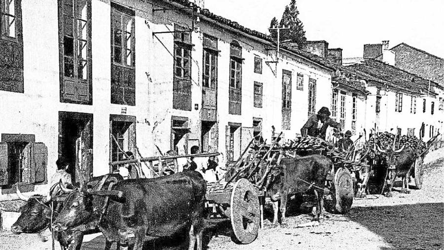...Cuando los carros de bueyes do país recorrían la ciudad cargando leña y otras mercancías