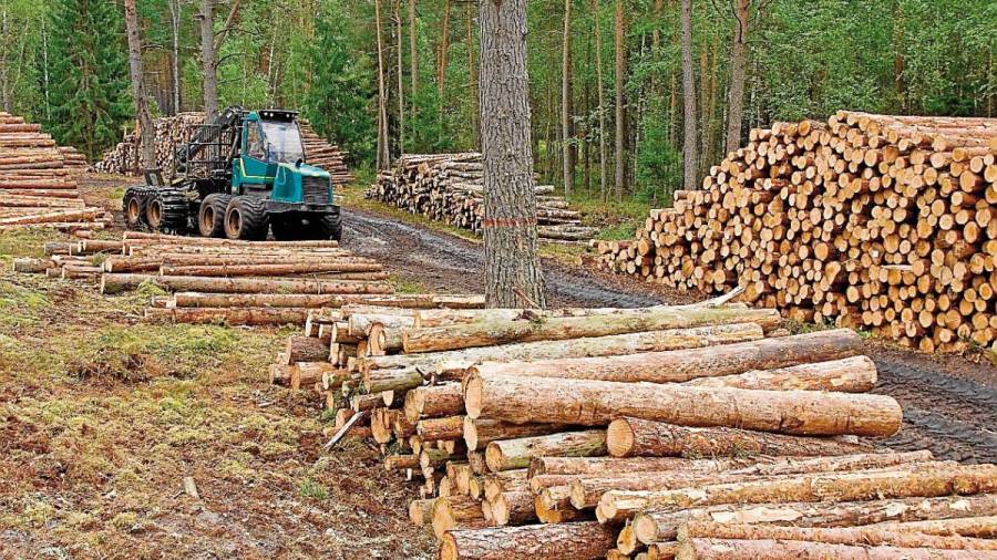Las ayudas para la formación en industria forestal podrán solicitarse hasta el día 3