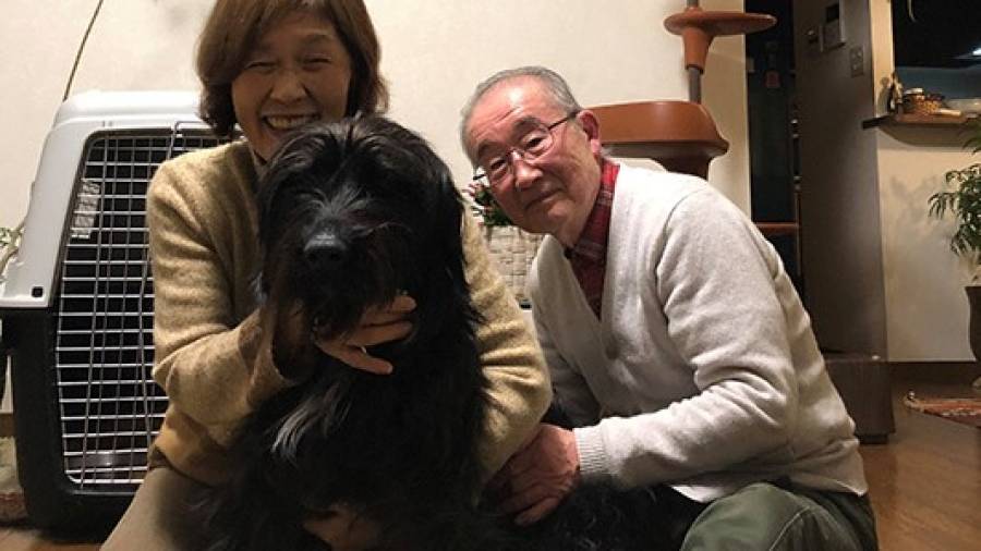 Michi aterrizó en su nueva casa de Osaka y ya entiende japonés