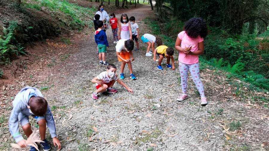 Grupo de nenos e nenas dun campamento realizando diversas actividades en contacto coa natureza. Foto: cedida.