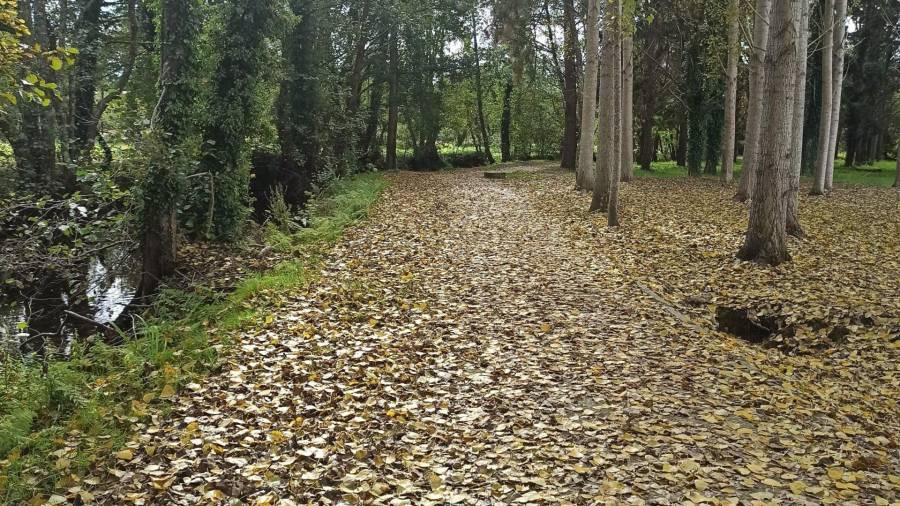 Imagen de las hojas caídas en otoño en el paseo do Anllóns, en Carballo (A Coruña) el pasado 17 de octubre - EUROPA PRESS