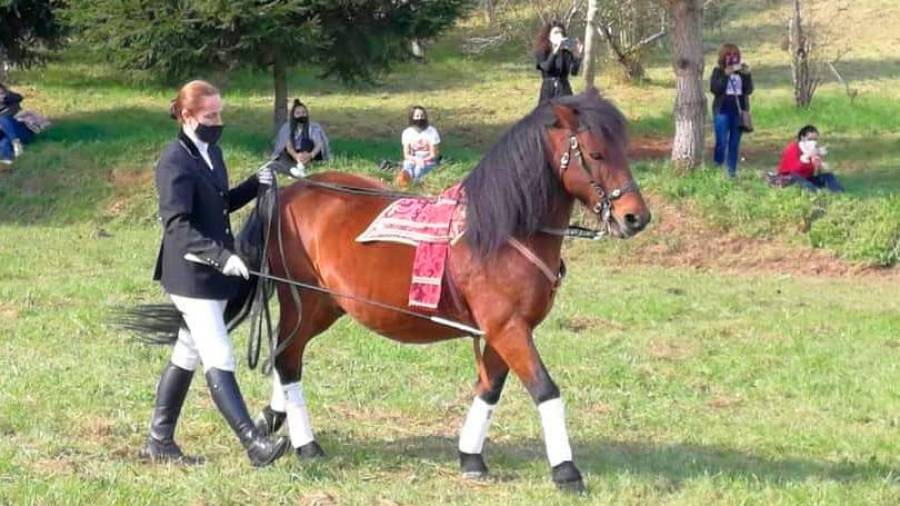 Laura Manteiga cun cabalo do centro equino de Sergude, que participan nas recepcións. Foto: A.P.R.G