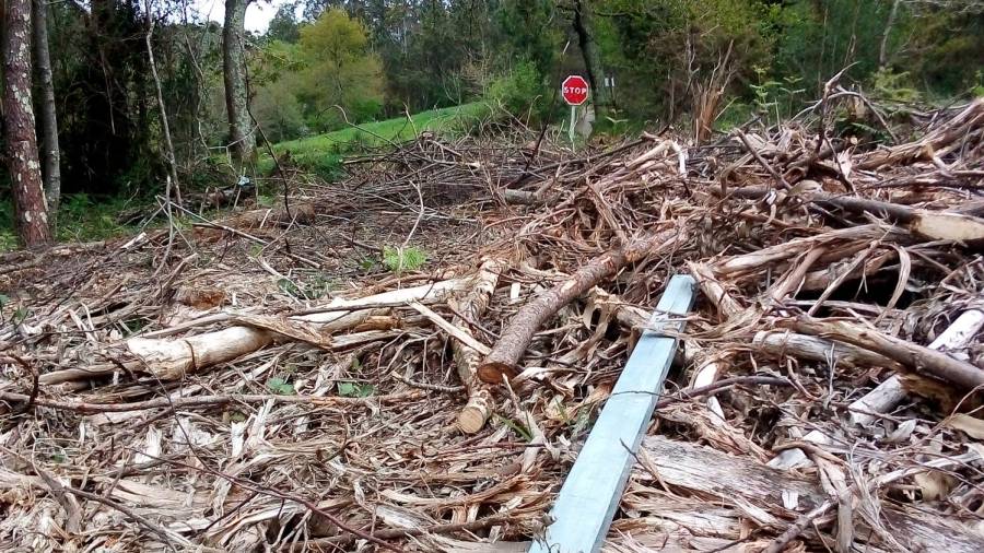 Denuncian a acumulación de madeira e restos dunha tala nunha estrada de Soandres