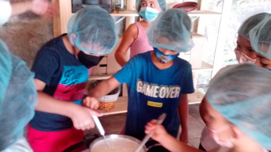 Nenos e nenas de primaria durante unha actividade de cociña Foto: Concello Ames