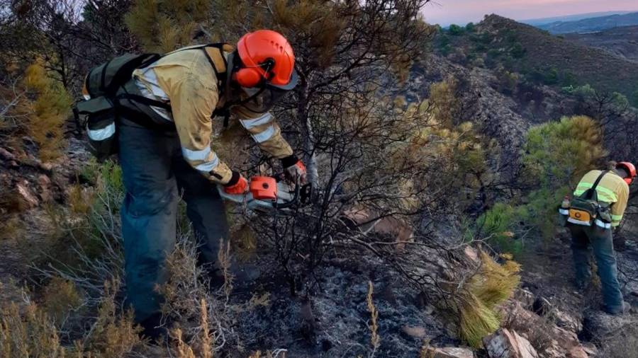 Imágenes tomadas y cedidas por la Unidad de Defensa contra los Incendios Forestales de la Dirección General del Medio Natural. FOTO: UNIDAD DE DEFENSA CONTRA LOS INCENDIOS FORESTALES