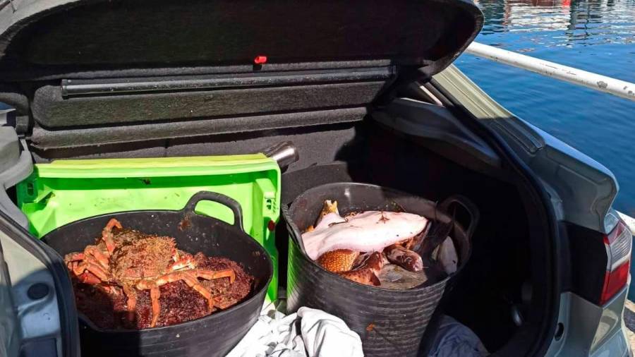 Capachos con las centollas y el pescado incautados en el puerto de Fisterra. Foto: Guardia Civil