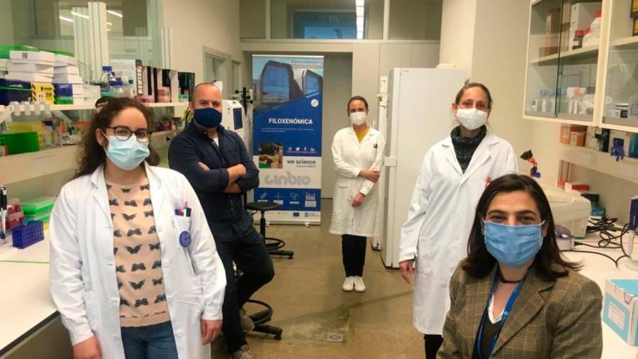 ciencia. Cinco integrantes de Epicovigal de la UVigo trabajan en el Centro de Investigacións Biomédicas. Foto: Cedida