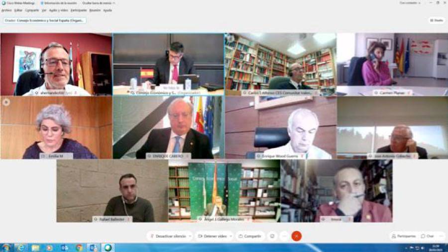 Na imaxe, un momento da reunión virtual na que aparece, arriba á esquerda, o responsable do organismo galego, Agustín Hernández