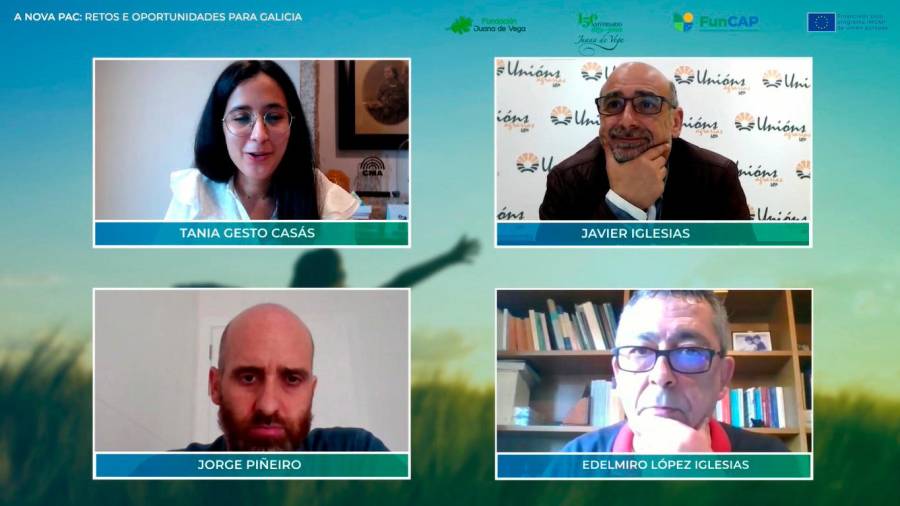 Tania Gesto, Javier Iglesias, Jorge Piñeiro e Edelmiro López no webinar do Proxecto FunCAP