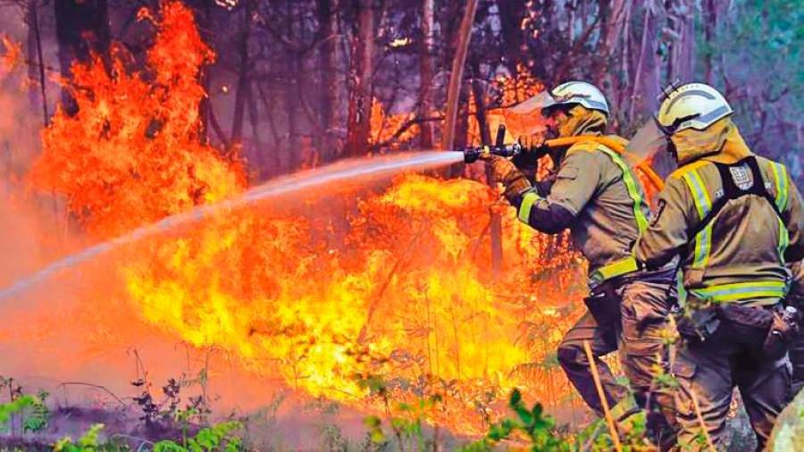 A Xunta buscará que Galicia baixe dos 411 lumes este ano e que ardan menos de 16.000 hectáreas