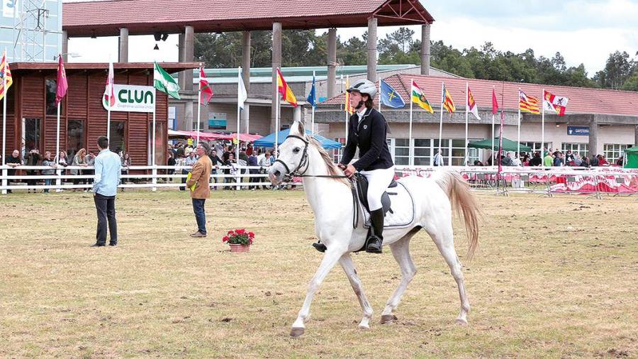 Un jinete a lomos de su caballo durante uno de los concursos celebrados en el recinto ferial de Silleda. Foto: S.V.