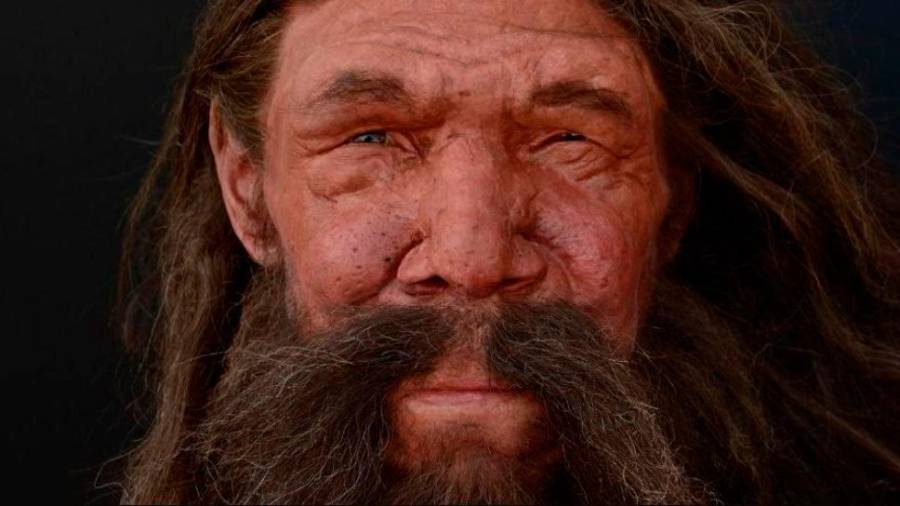 A montaña galega retivo máis tempo ós últimos neandertais