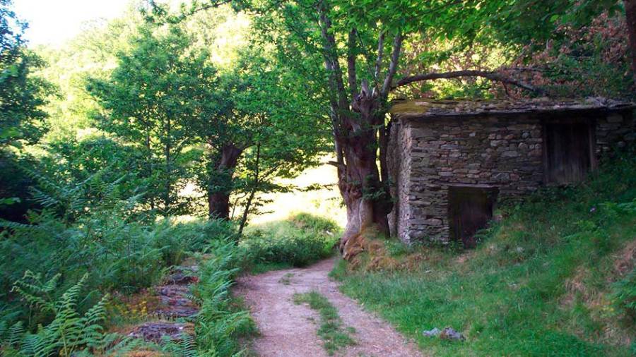 Antiguo sequeiro de castañas que puede verse en el arranque de la ruta desde Moreda Foto: Angar