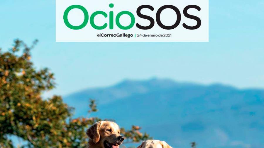 OcioSOS 24-01-2021
