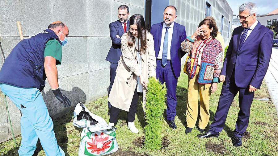 A celebración do 25 aniversario do Hospital Virxe da Xunqueira, de Cee, comezou coa plantación dunha árbore nos xardíns do centro. Foto: X.G.