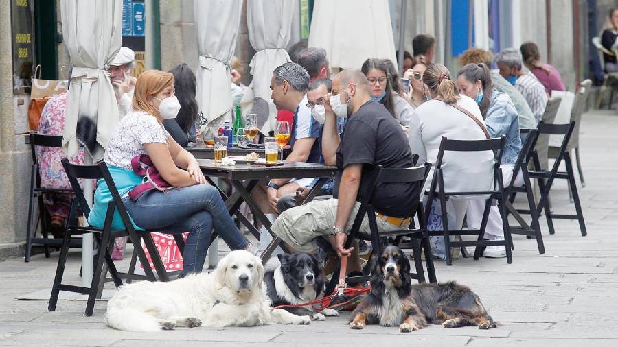 hostelería. Un grupo de personas disfruta, junto a sus perros, de una terraza en Santiago, que se mantiene en el nivel medio de restricciones. Foto: Fernando Blanco