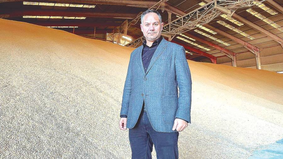 En Punta Langosteira, puerto exterior a donde llega parte de el cereal ucraniano a Galicia y que rodea a Bruno Beade, director de la Asociación Gallega de Fabricantes de Alimentos Compuestos, Agafac. Foto: S. M. 