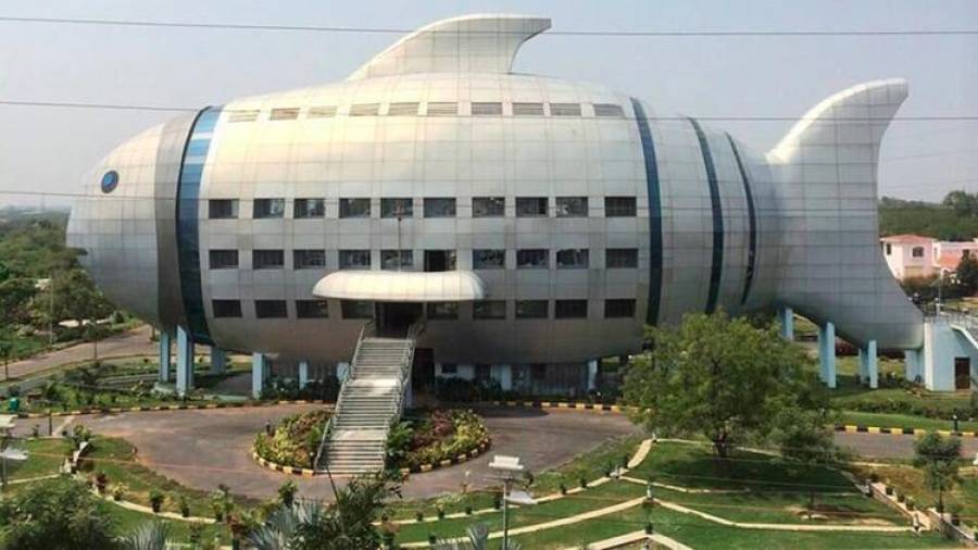 El edificio Pez. Se encuentra en la ciudad india de Hyderabad y es una de las sedes del Consejo Nacional de Desarrollo Pesquero del país. El edificio es obra del aquitecto y diseñador Philippe Starck. (Fuente, www.infobae.com)