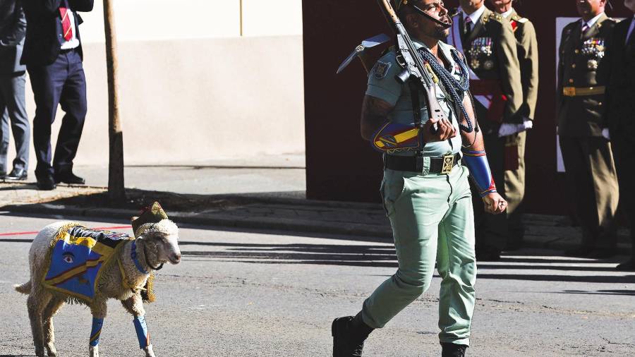 Un soldado de La Legión con el borrego merino Titán, que este año sustituyó a la mítica cabra de este cuerpo del Ejército. Foto: Eduardo Parra