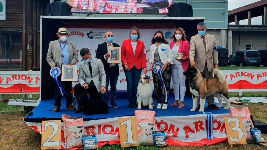 Os cans gañadores dos tres primeiros postos nas exposicións Internacional e Nacional posando cos seus donos. Foto: Feria Internacional de Galicia