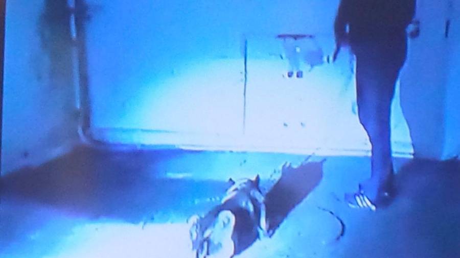 EL POZO. Momento en el que un perro de la Policía señaló el pozo de la nave de Rianxo en el que El Chicle ocultara el cadáver de Diana. Foto: G.
