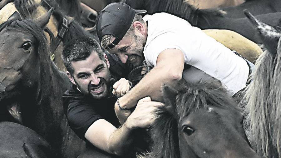 La lucha entre los hombres y los equinos fue espectacular