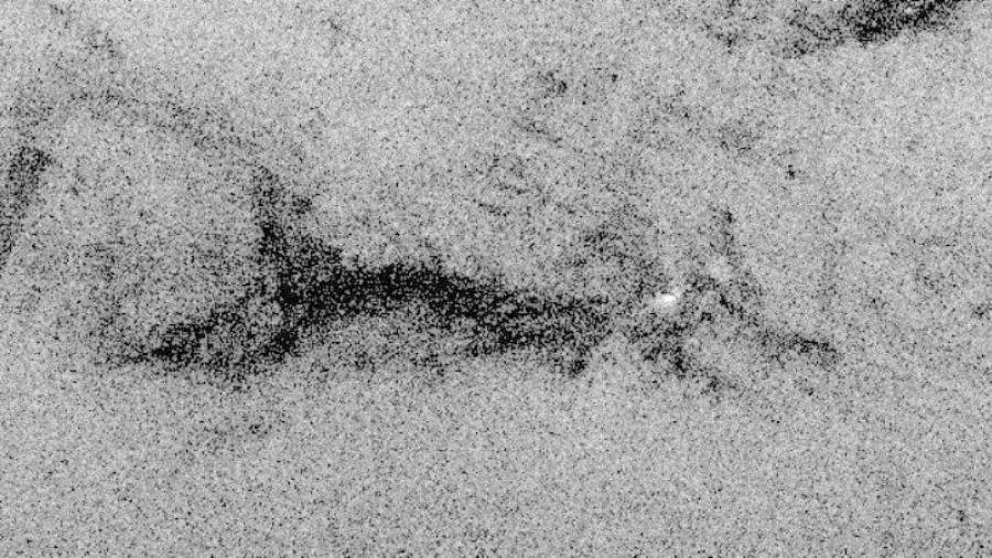¿Gato o zorro? Nube oscura de gas captada en Orion por la misión Gaia
