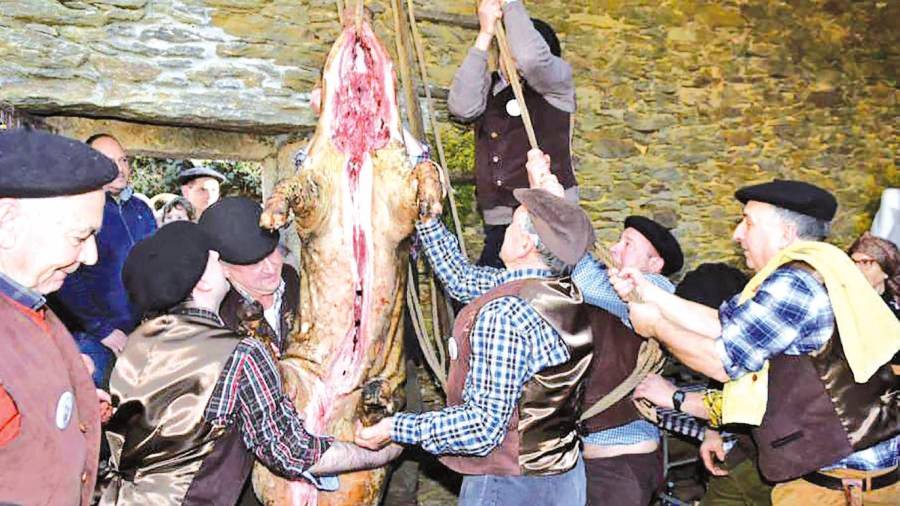 Matanza Tradicional do Porco celebrada en la parroquia de Laiño, en Lalín. Foto: Sangiao