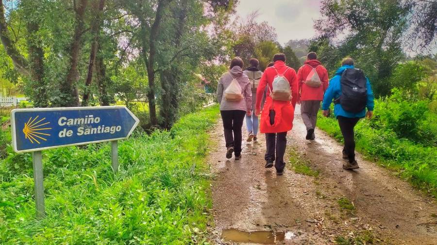 Imaxe de arquivo dun grupo de peregrinos recorrendo a Ruta Xacobea. Foto: Asociación de Concellos do Camiño Inglés